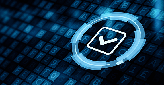 Quality & Government