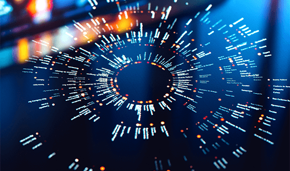 Quality & Government